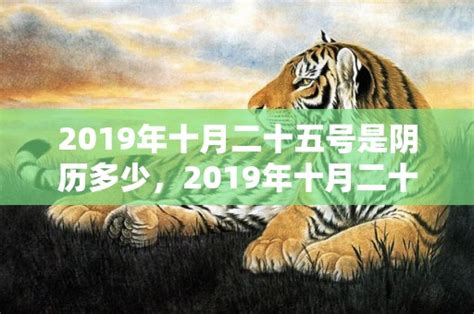 2019年五行|2019年五行属什么